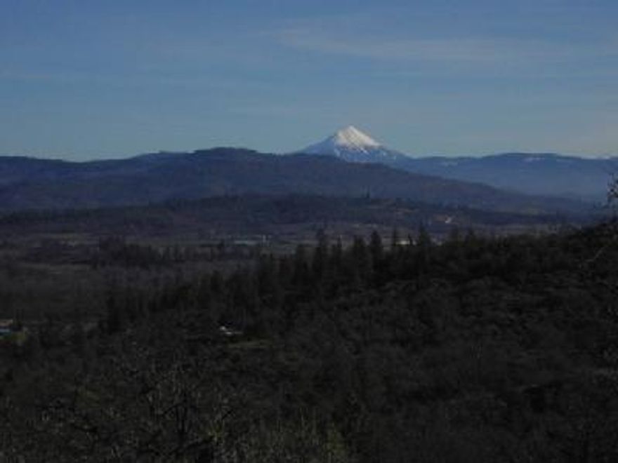 See adjacant home listed. MLS #240173. This is a GORGEOUS buildable homesite parcel with 270 degree views of the Valley and Mt. McLaughlin! Excellent 2-family setup....beautiful clean home next door at 196 Flamingo for $260,000.....or buy this land for $135,000. EZ access to homesite. You'll LOVE this! Zoned RR5.