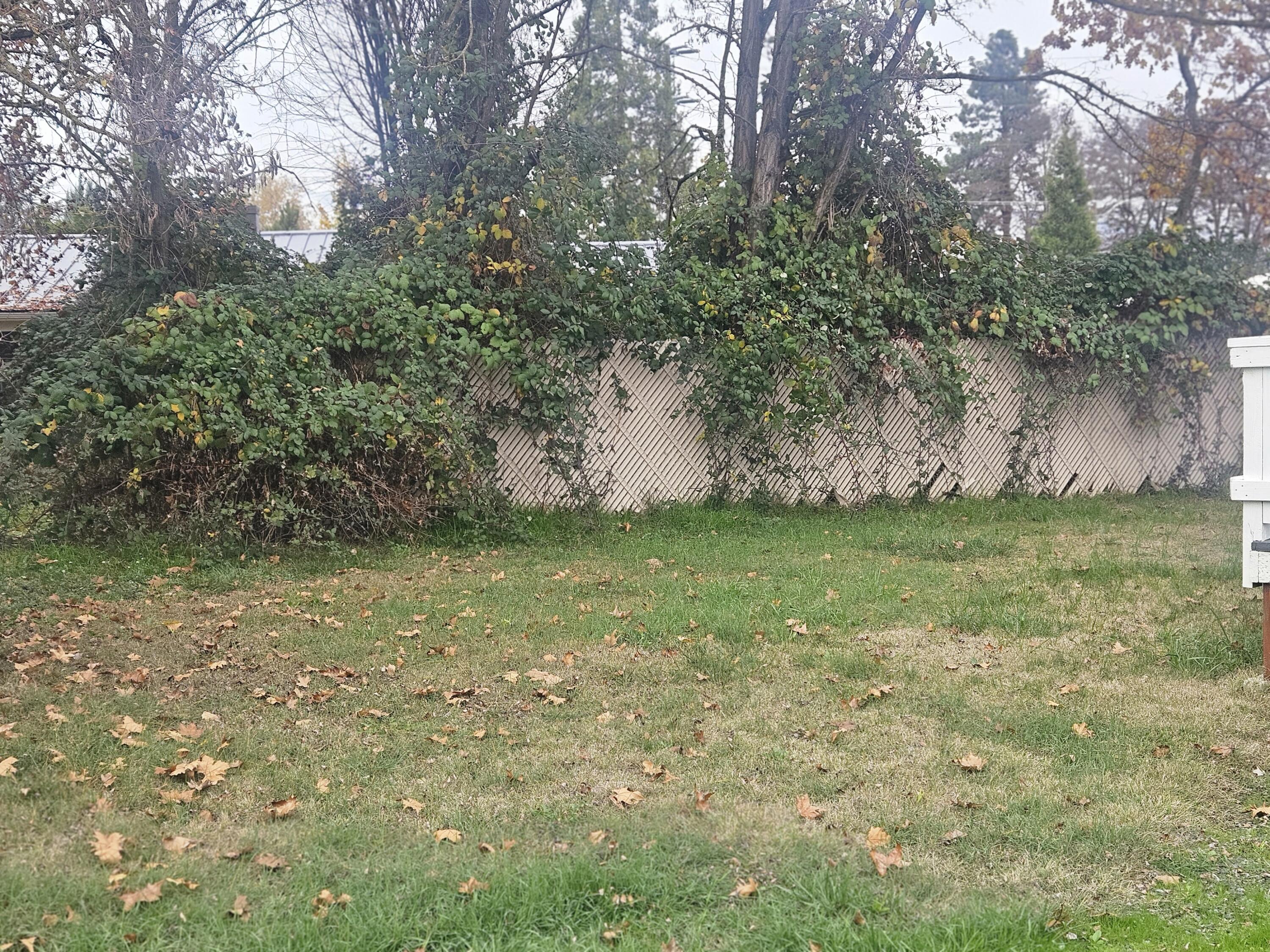 Parkdale Subdivision - Residential