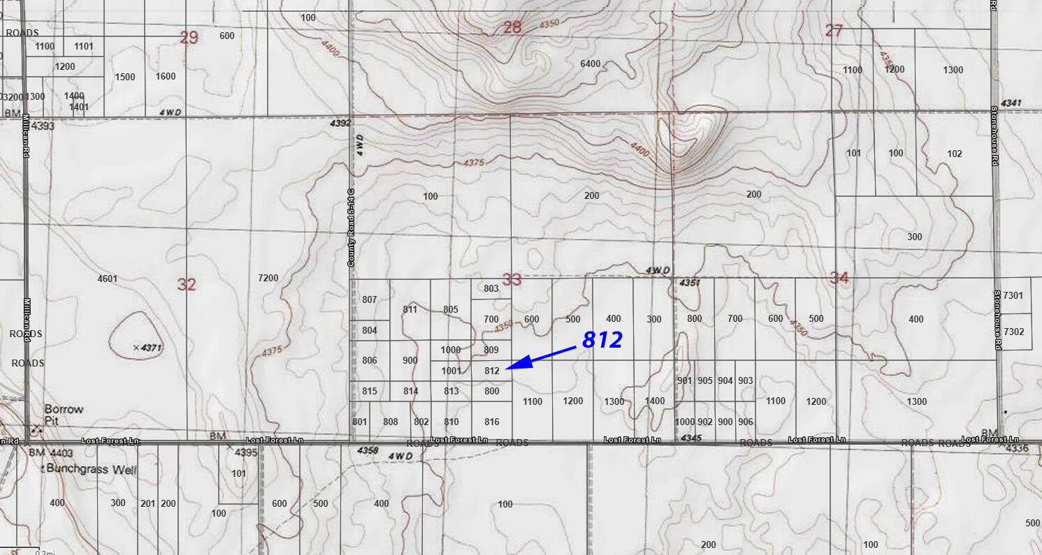 Lost Forest Lane 812
