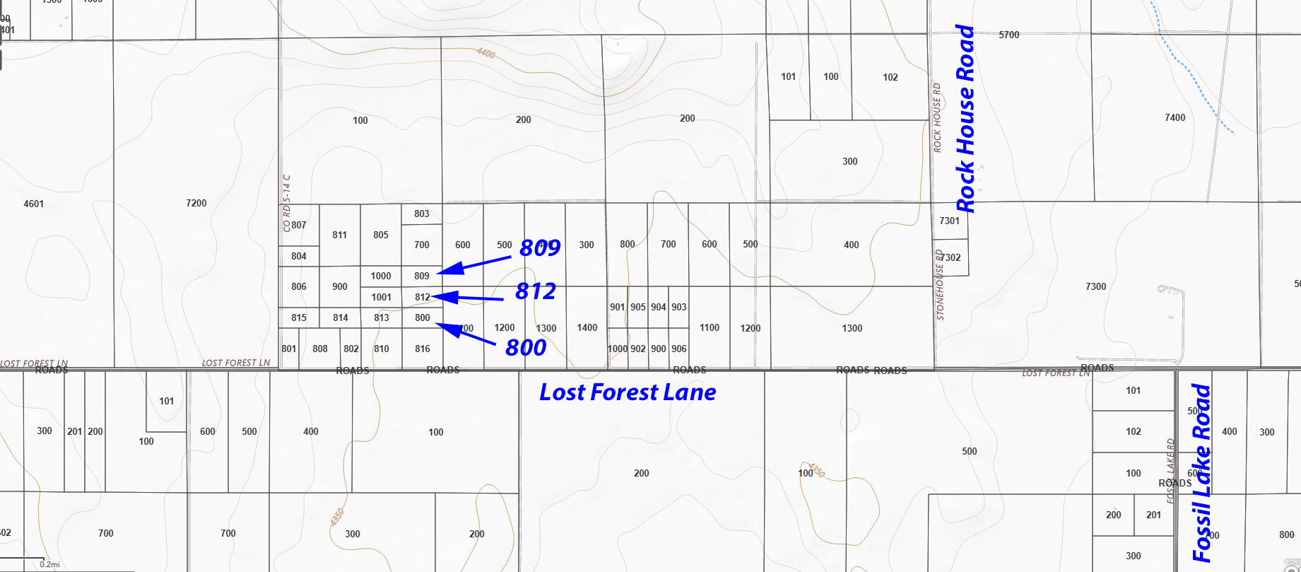 Lost Forest Lane 812