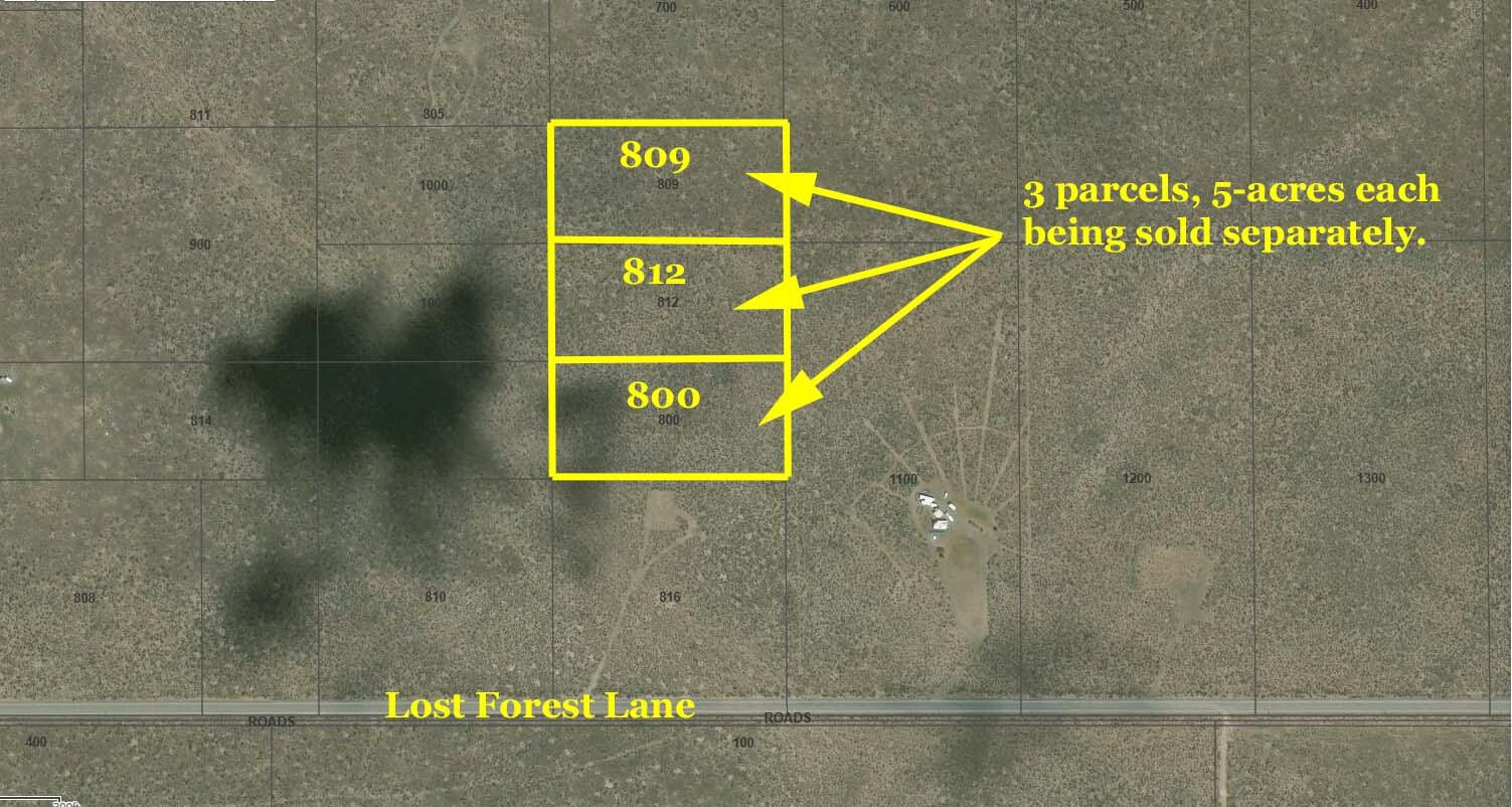 Lost Forest Lane 812
