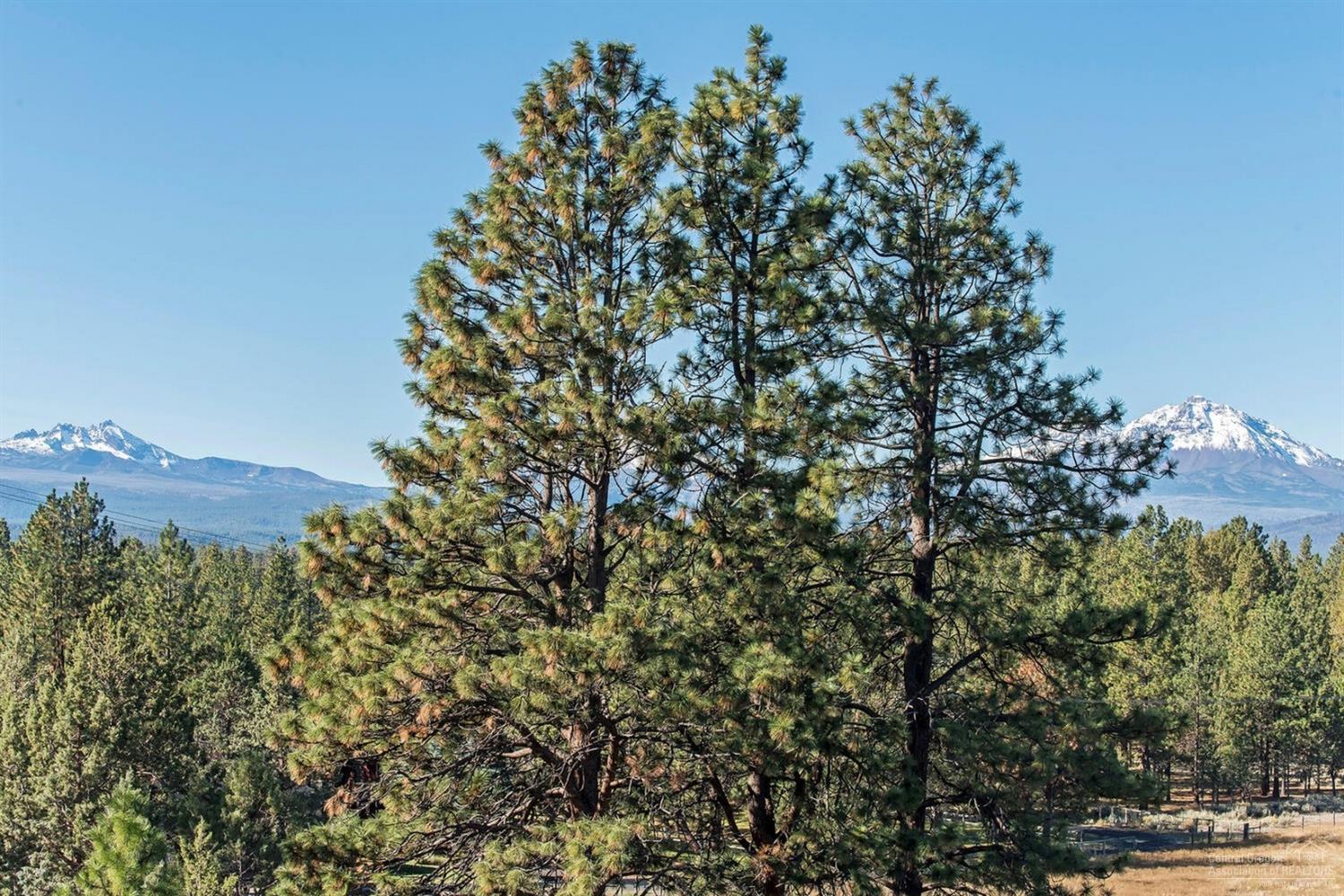 Bitterbrush - Residential