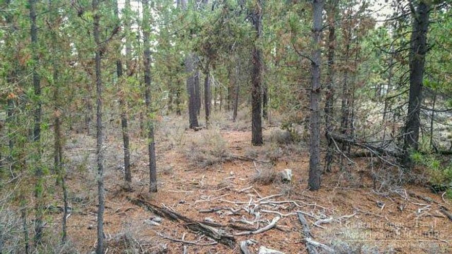 Privacy and convenience for your recreation escape or future home. End of the road privacy and backing up to large private acreage this nicely treed lot is only one of 12 home sites on Kiwa Lane. Mins to the Corner Store or Hwy 97 access and in the center of all things outdoors. This 1.09-Acre retreat is ideal for the recreation enthusiast. Well & Septic feasibility needed.