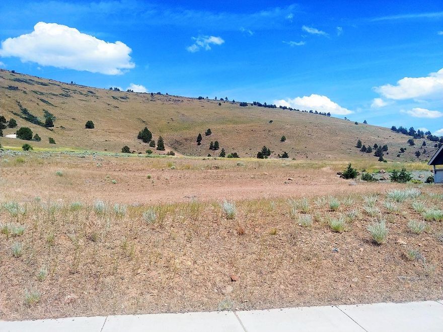 ONE PARTY LISTING-Build-able lots in the Pheasant Run subdivision ranging in acreage from .16 to over half an acre. Located in the suburbs, in the middle of town and close to Peterson, Brixner and Mazama schools. Lots are surrounded by Pahlisch Homes built houses less than 5 years old, brand new Tom Soyland Construction and new builds throughout the subdivision. These lots are ready to be built on and in an established and well known subdivision, creating a great opportunity for investment! Many lots are available, call listing agents for pricing and any questions on the subdivision, development and available lots!