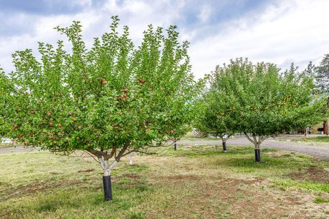 Tiny photo for 2245 Colestin Road, Ashland, OR 97520 (MLS # 220220182)