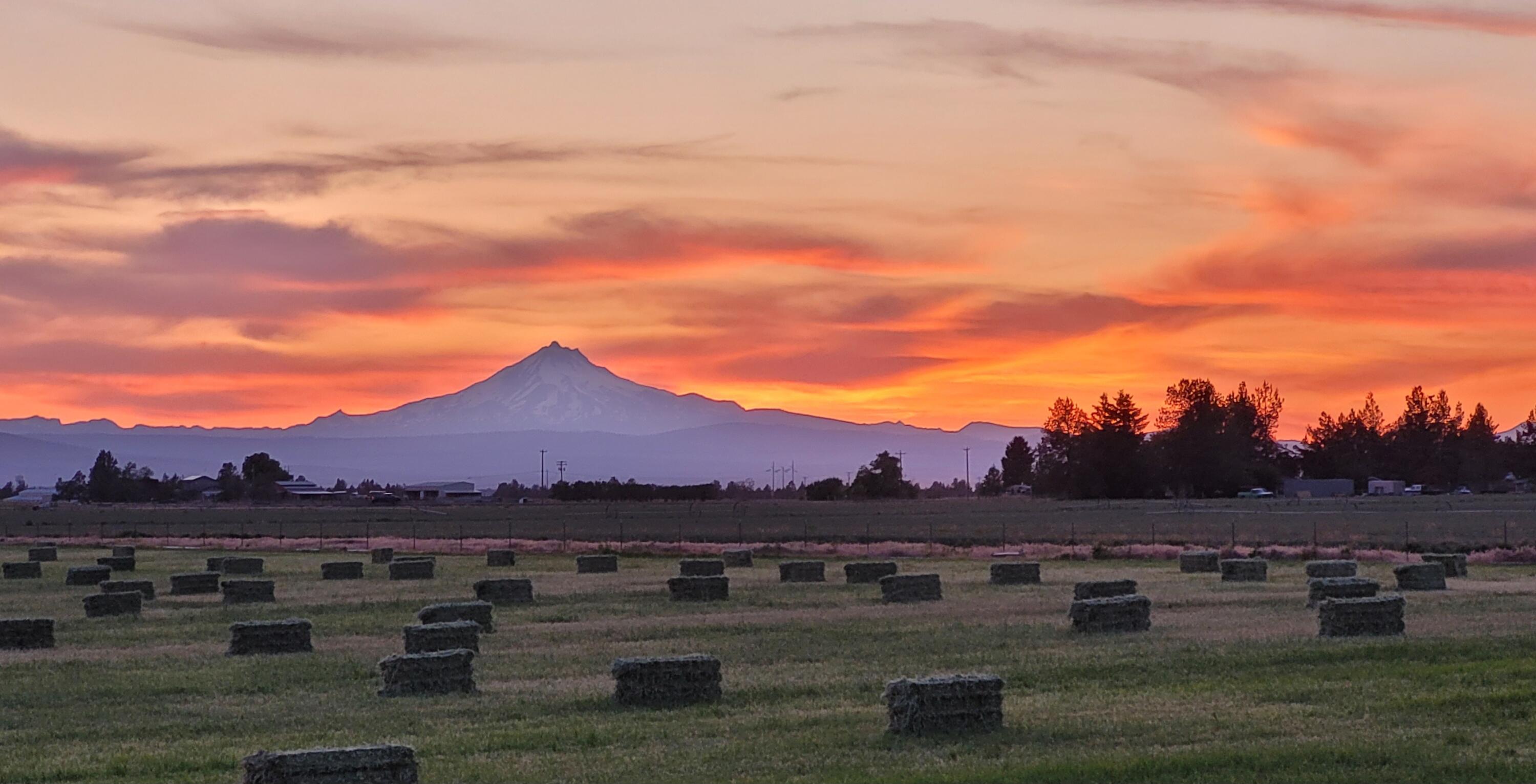 15520 SW Culver Highway