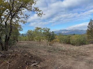 Merlin Townsite - Land