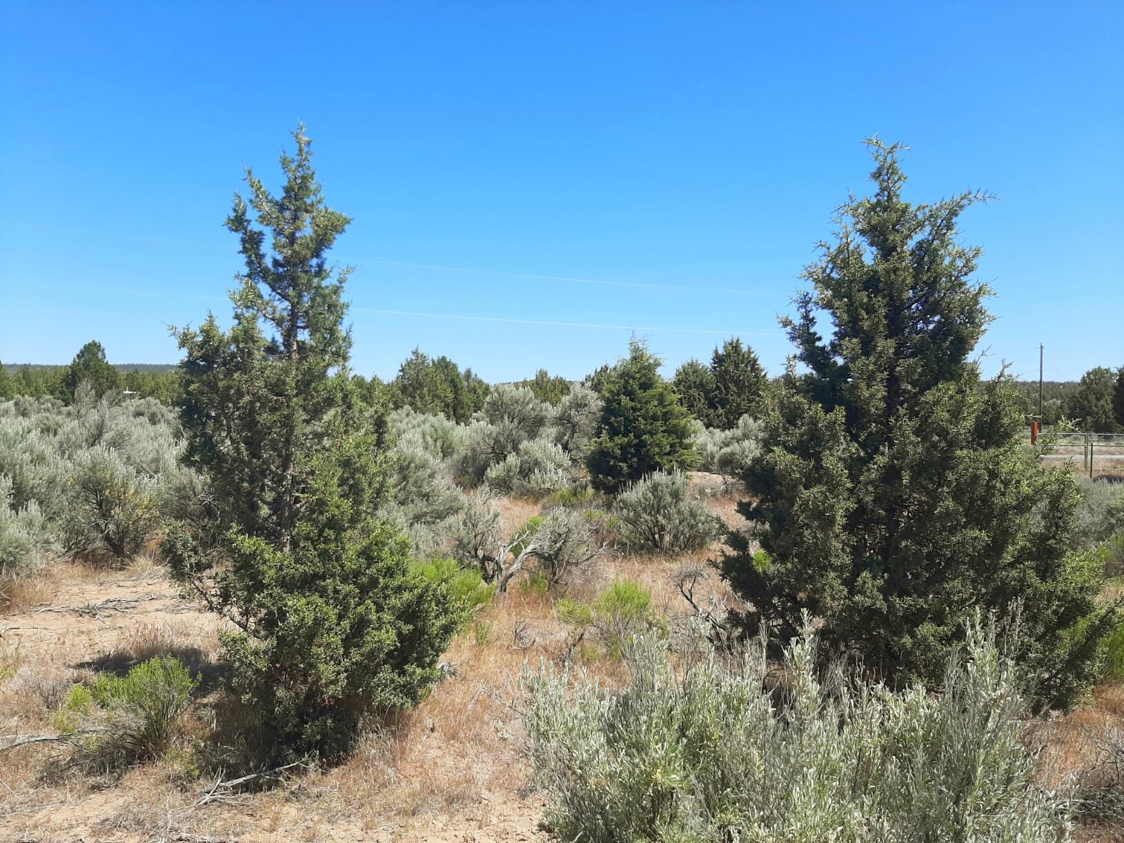 Prineville Lake Acres 2 - Land