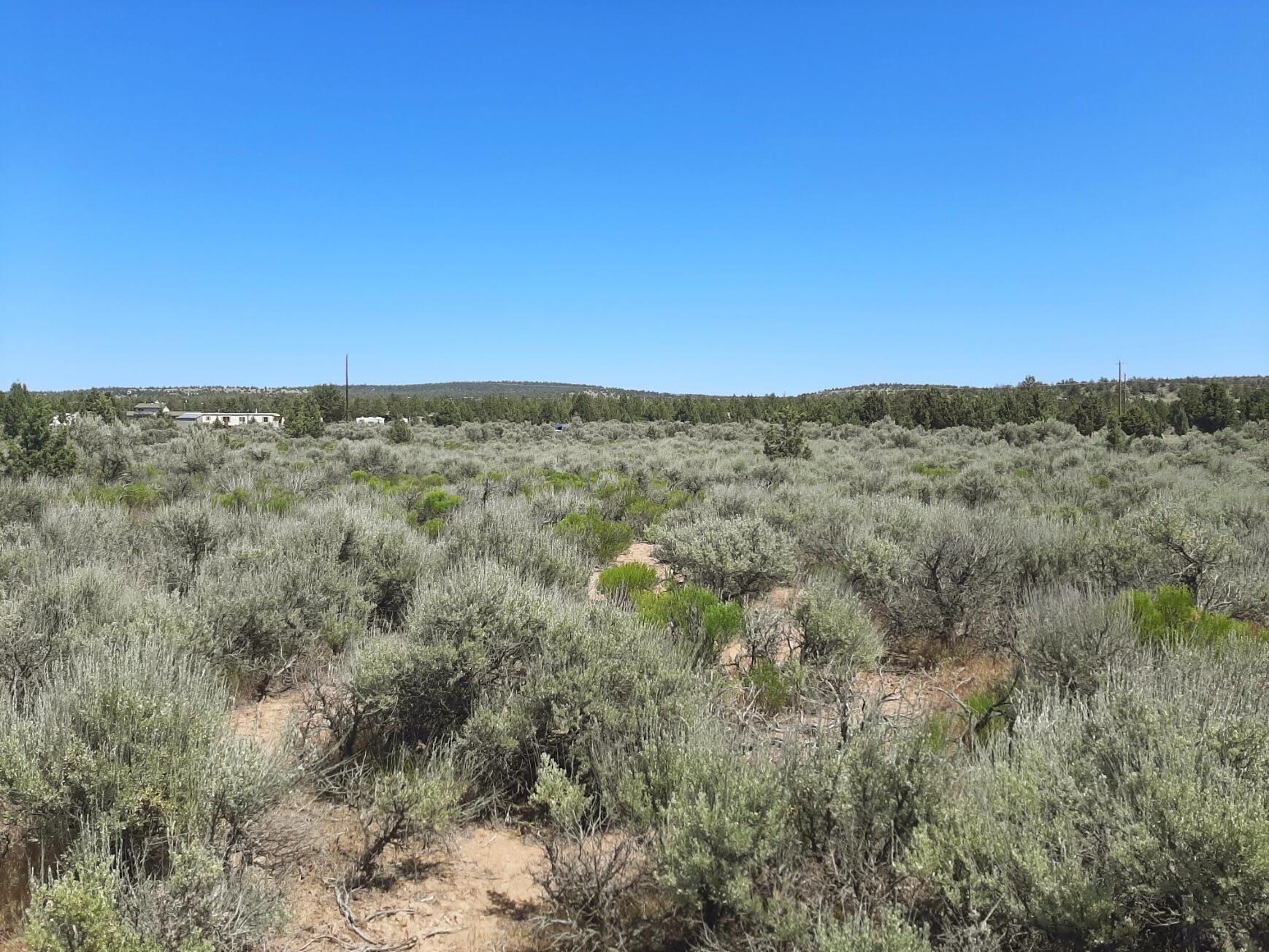 Prineville Lake Acres 2 - Land