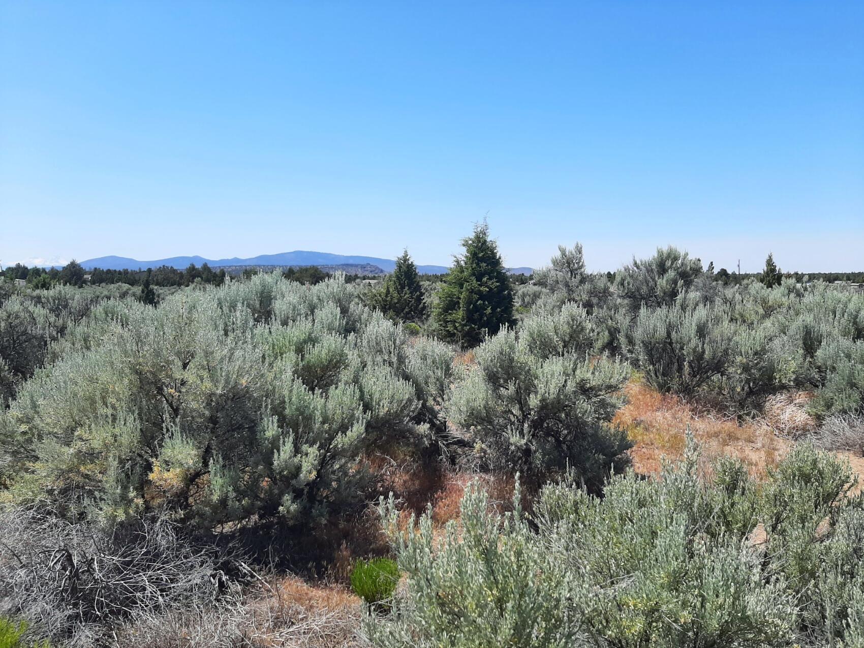 Prineville Lake Acres 2 - Land