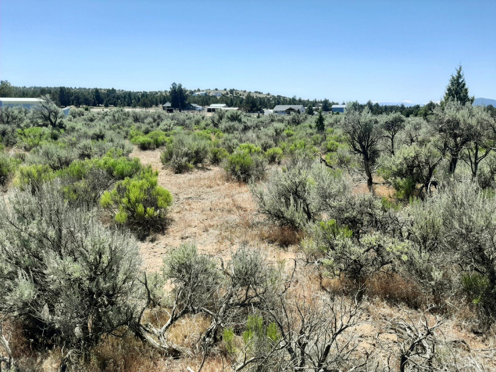 Prineville Lake Acres 2 - Land