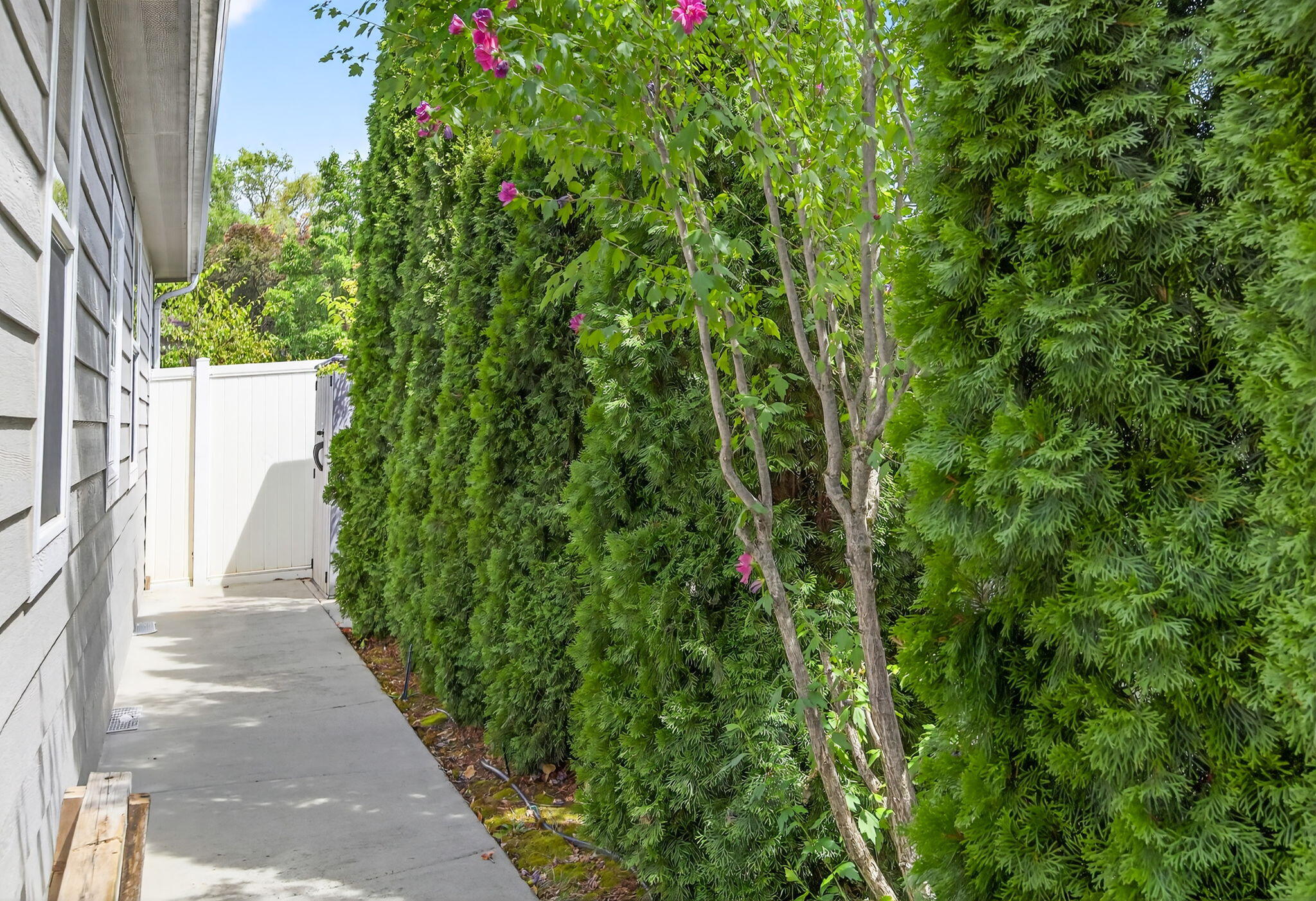 Hillsborough Estates Subdivision - Residential