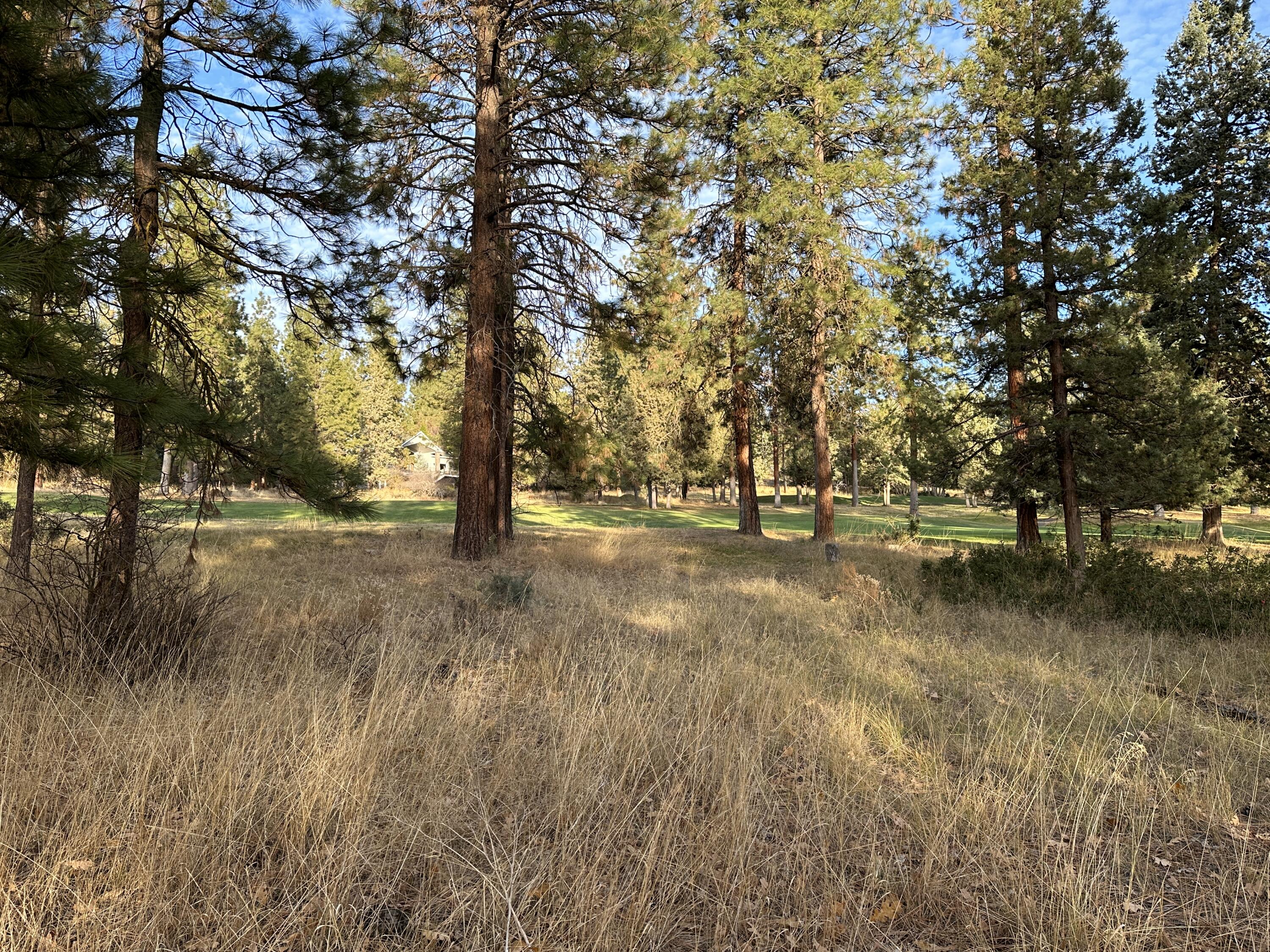 Running YResort - Land