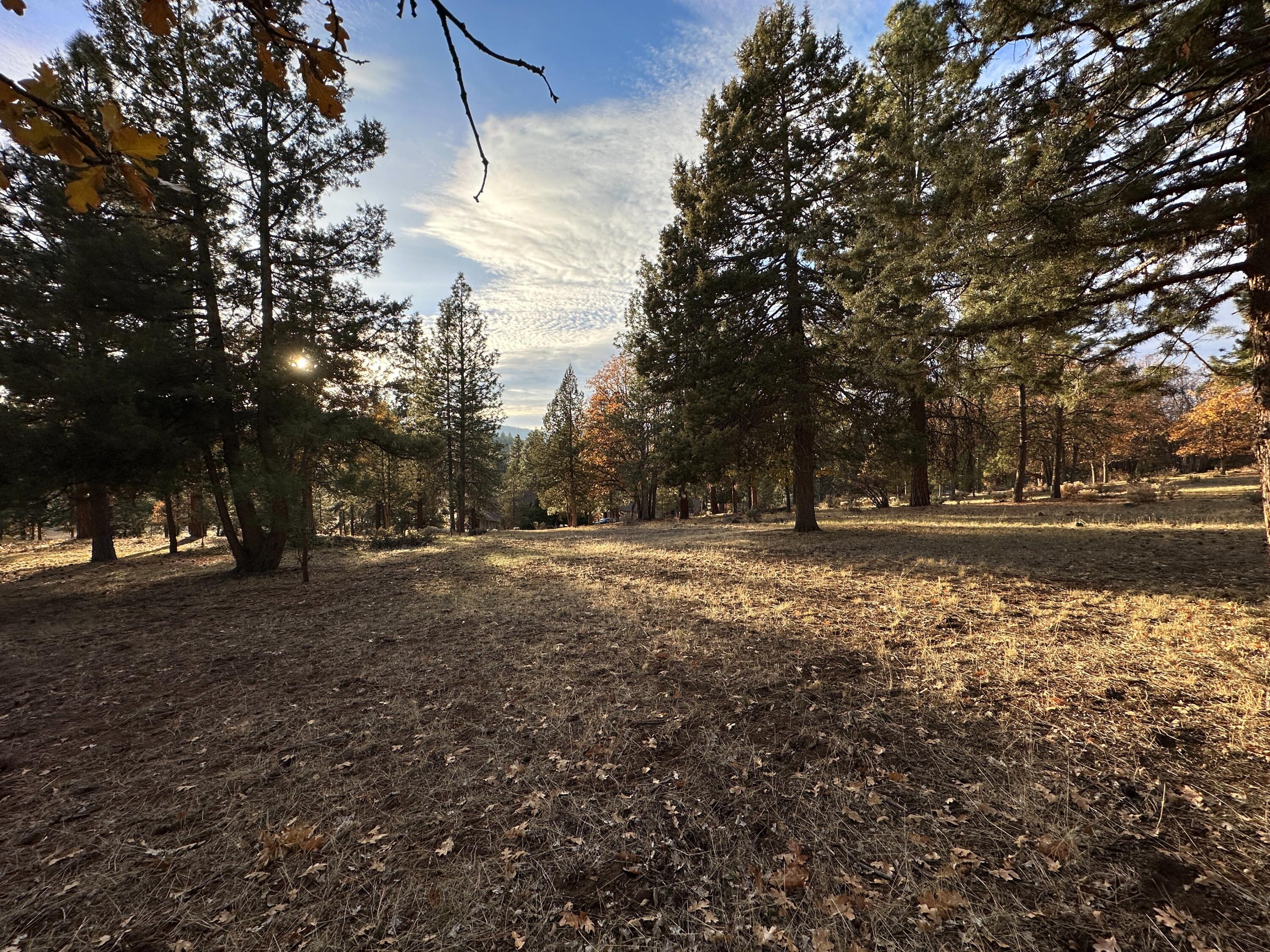 Running YResort - Land