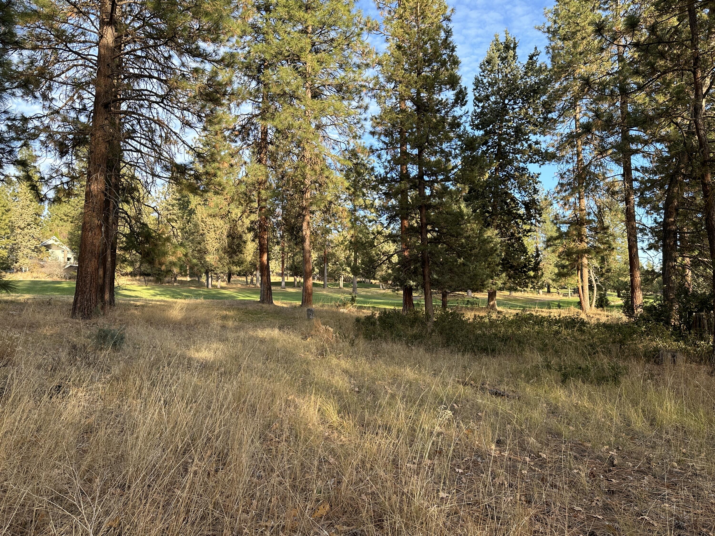 Running YResort - Land