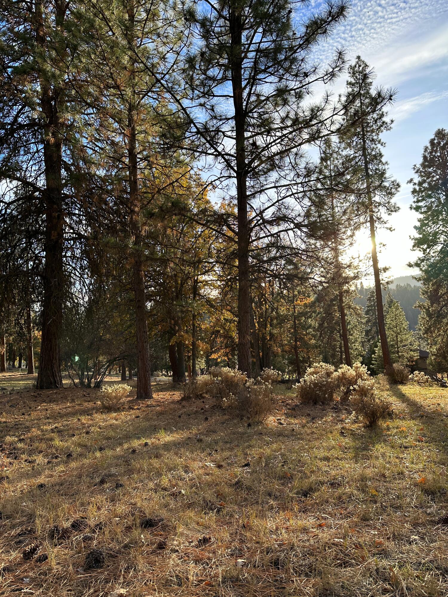 Running YResort - Land