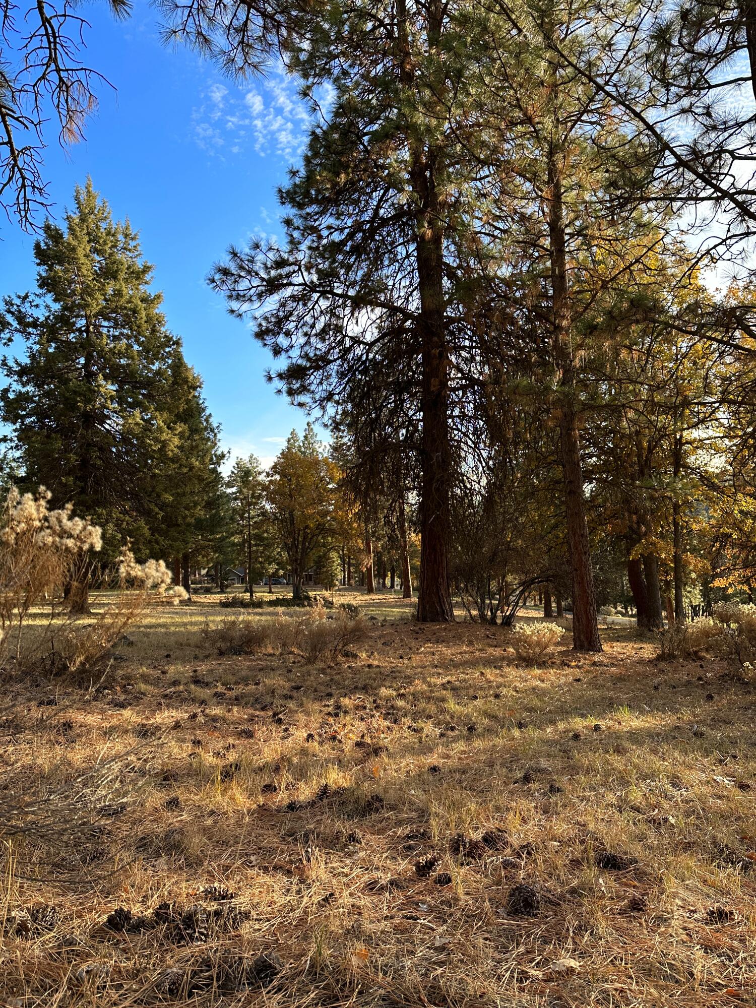 Running YResort - Land