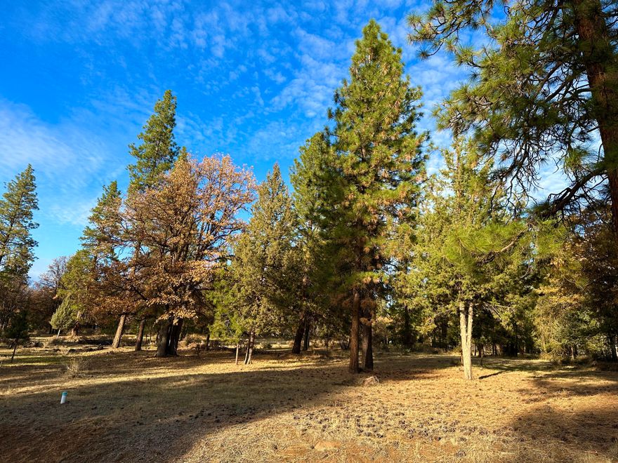 Build your dream home on this 0.50 acre residential homesite at the Running Y Resort located below the 7th hole of Oregon's only Arnold Palmer designed golf course. Homesite is above road level for tree lined mountain views to the front, and golf course views behind. Rare opportunity to purchase the adjoining lot, 108 Merganser, believed to be combinable to a 1.03 acre homesite for a truly spectacular home build, buyer to complete due diligence. The Running Y Resort is sought after for its many homeowner amenities that include fitness center, indoor pool and sauna, tennis, pickleball, basketball, and volleyball courts, playground, 6 miles of paved walking and riding trails, wildland walking trails and fishing pond. Resort amenities include an 18 hole Arnold Palmer golf course, restaurants, spa, ice skating, roller rink, neighborhood market, and more. Possibility of owner carry.