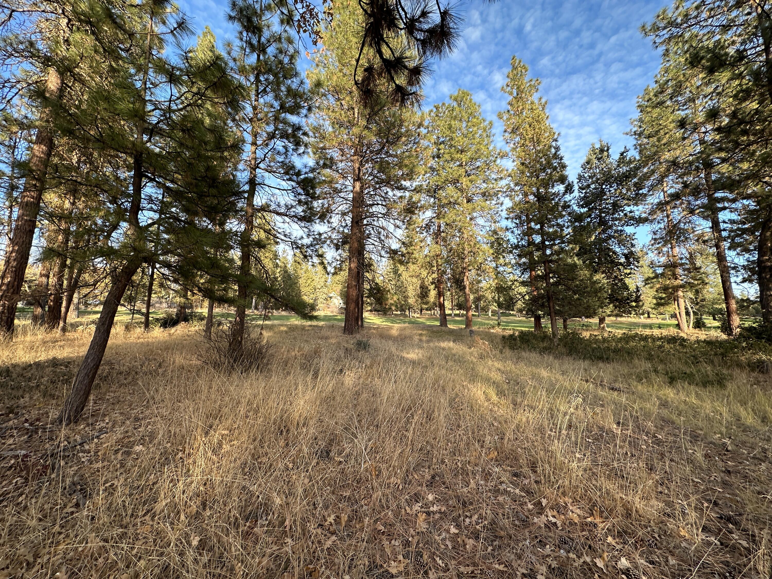 Running YResort - Land