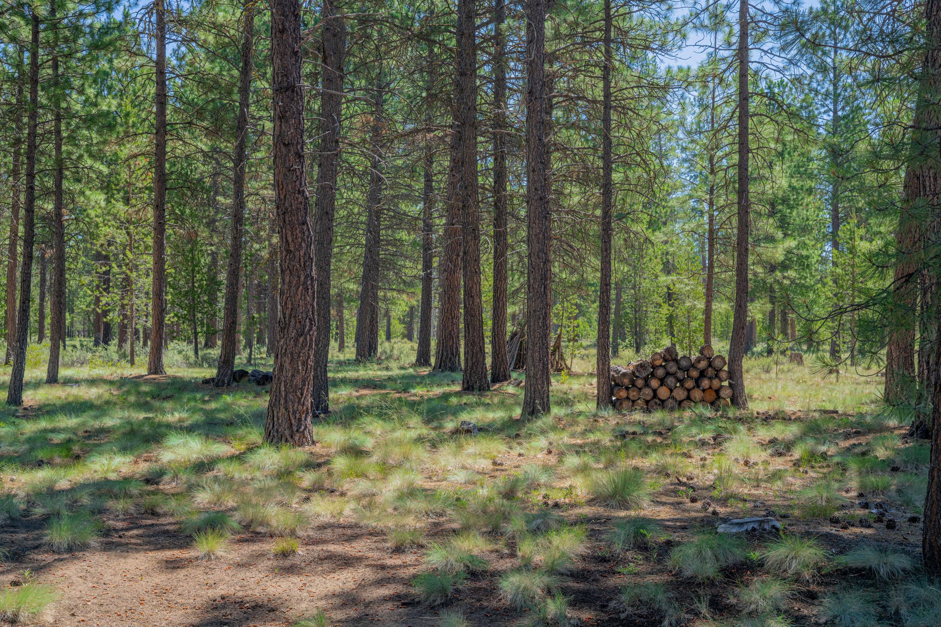 Fairway Point Villag - Residential