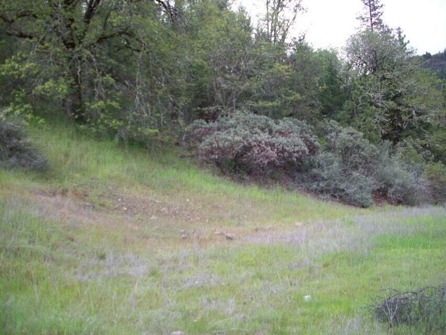 Just a stone's throw from the Rogue River, this .57 acre lot may be dividable into two lots.  Power and sewer are at the street.  This beautifully rolling lot offers views of the Rogue River.  Listing agent is related to Seller.  All information is deemed accurate, but not verified or guaranteed.