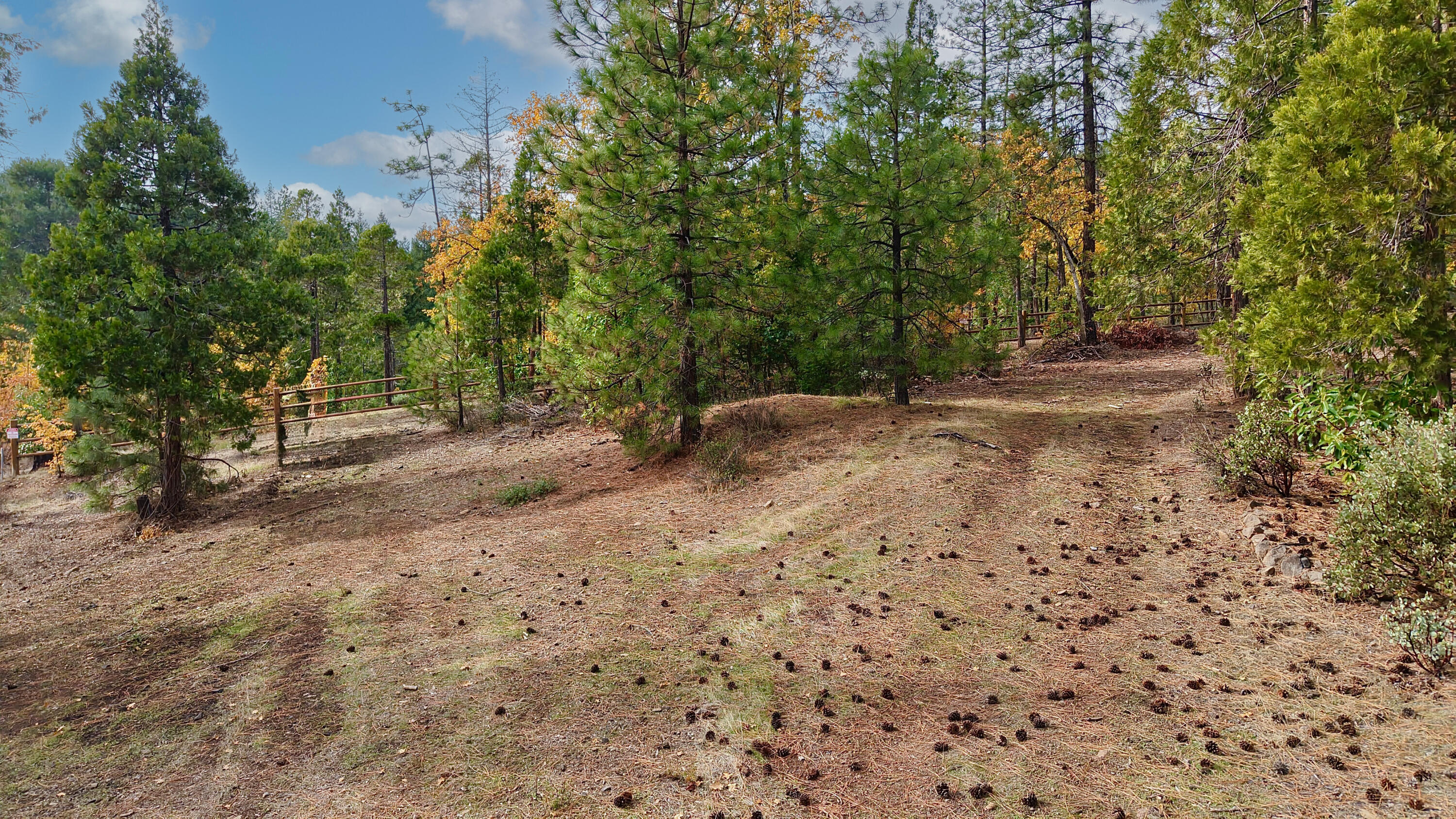 Evergreen Meadows Subdivision - Residential