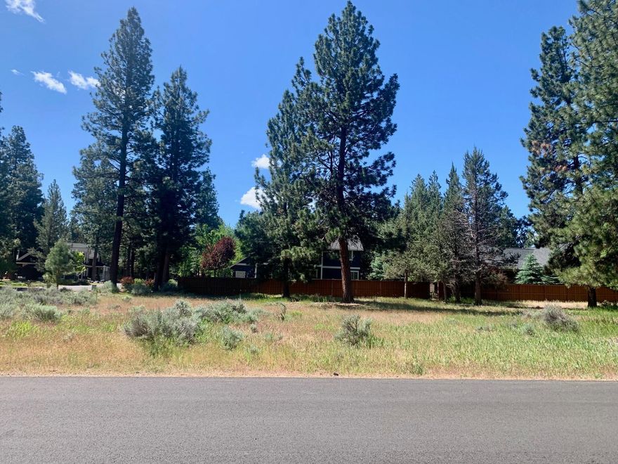 Prime Lot! Large (just under 1/2 an acre) Corner lot in sought after Buck Run Neighborhood. Very close to downtown Sisters & National Forest. Enjoy the beauty of Sisters while Biking, hiking, trails & more! Close to extensive Peterson Ridge trail system and National Forest Trails. Also near Five Pine Lodge, Sisters Athletic Club, Three Creeks Brewing and Sisters Movie House. Ready for your new home with underground utilities, paved street, city sewer/water. CCR's and design guidelines have helped create a beautiful neighborhood of quality homes. Build the home of your dreams!