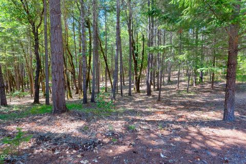 Tiny photo for 634 Minnow Lane, Wilderville, OR 97543 (MLS # 220224412)