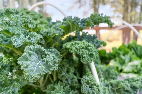 Tiny photo for 52812 Timber Lane Loop, La Pine, OR 97739 (MLS # 220206873)