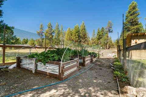 Tiny photo for 52812 Timber Lane Loop, La Pine, OR 97739 (MLS # 220206873)