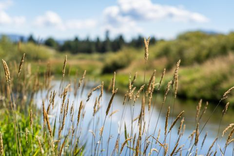 Tiny photo for 52812 Timber Lane Loop, La Pine, OR 97739 (MLS # 220206873)