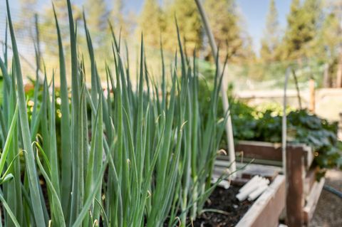 Tiny photo for 52812 Timber Lane Loop, La Pine, OR 97739 (MLS # 220206873)