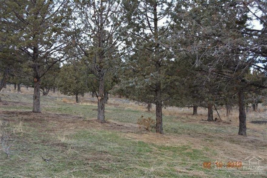 Great developed lot. Water, power and septic.