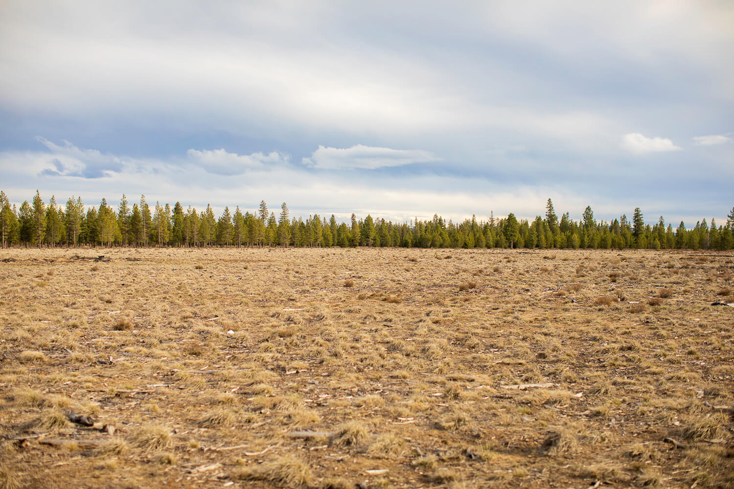 La Pine, Oregon 97739, United States, ,Land,Active,111168