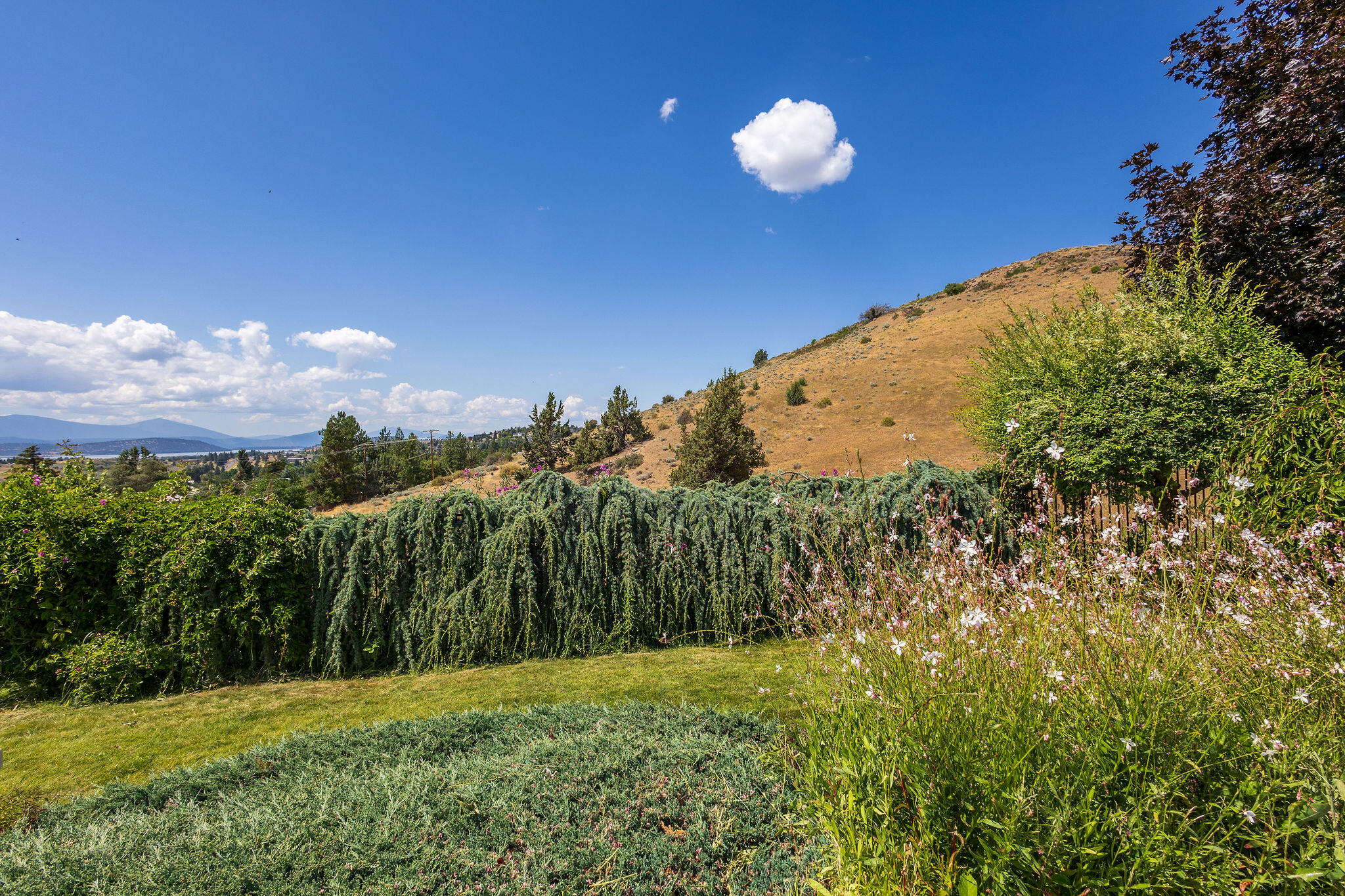 Loma Linda Heights - Residential
