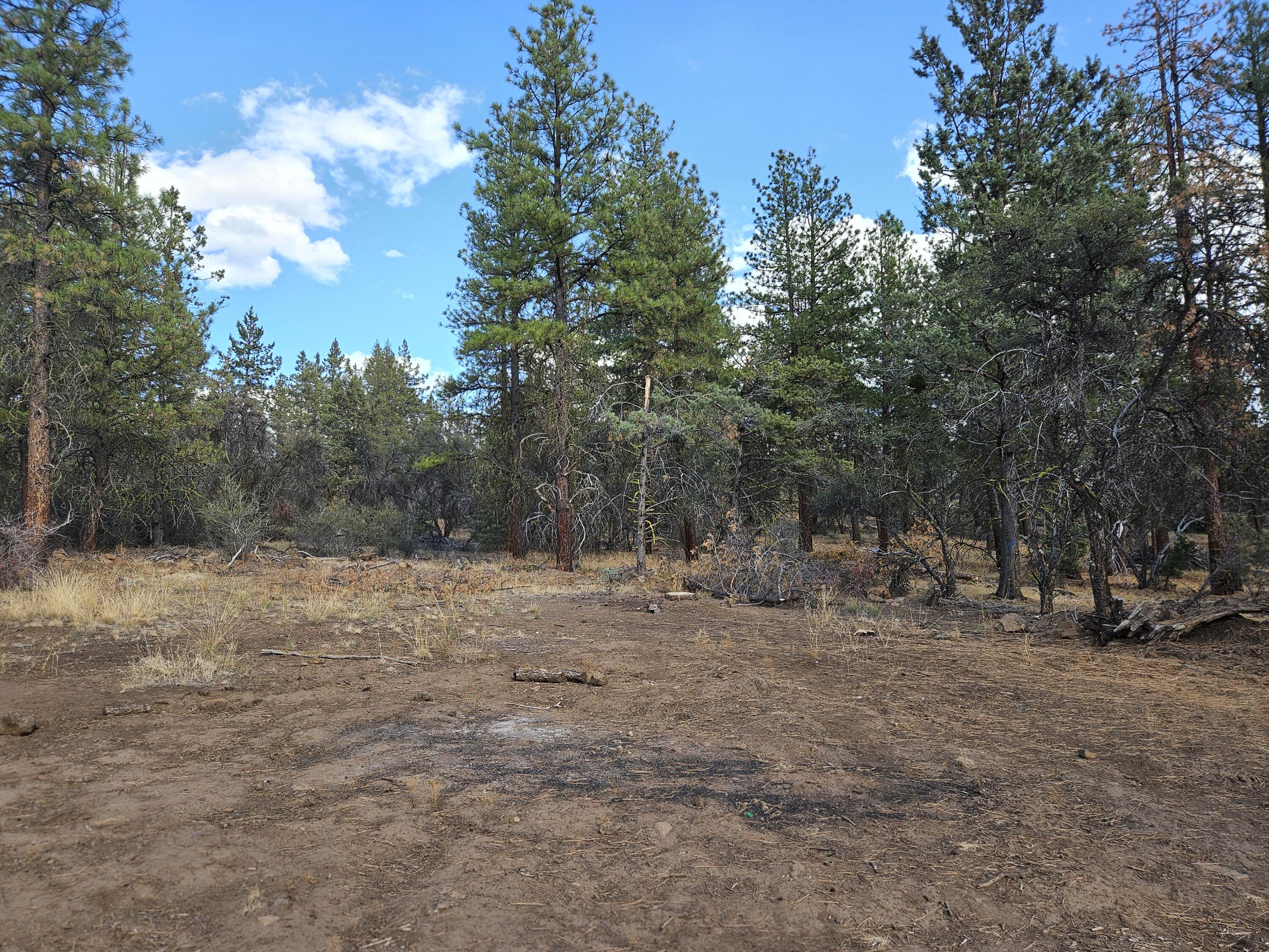 Klamath Falls Forest Estates -Hwy 66 Unit -Plat No. 1 - Land