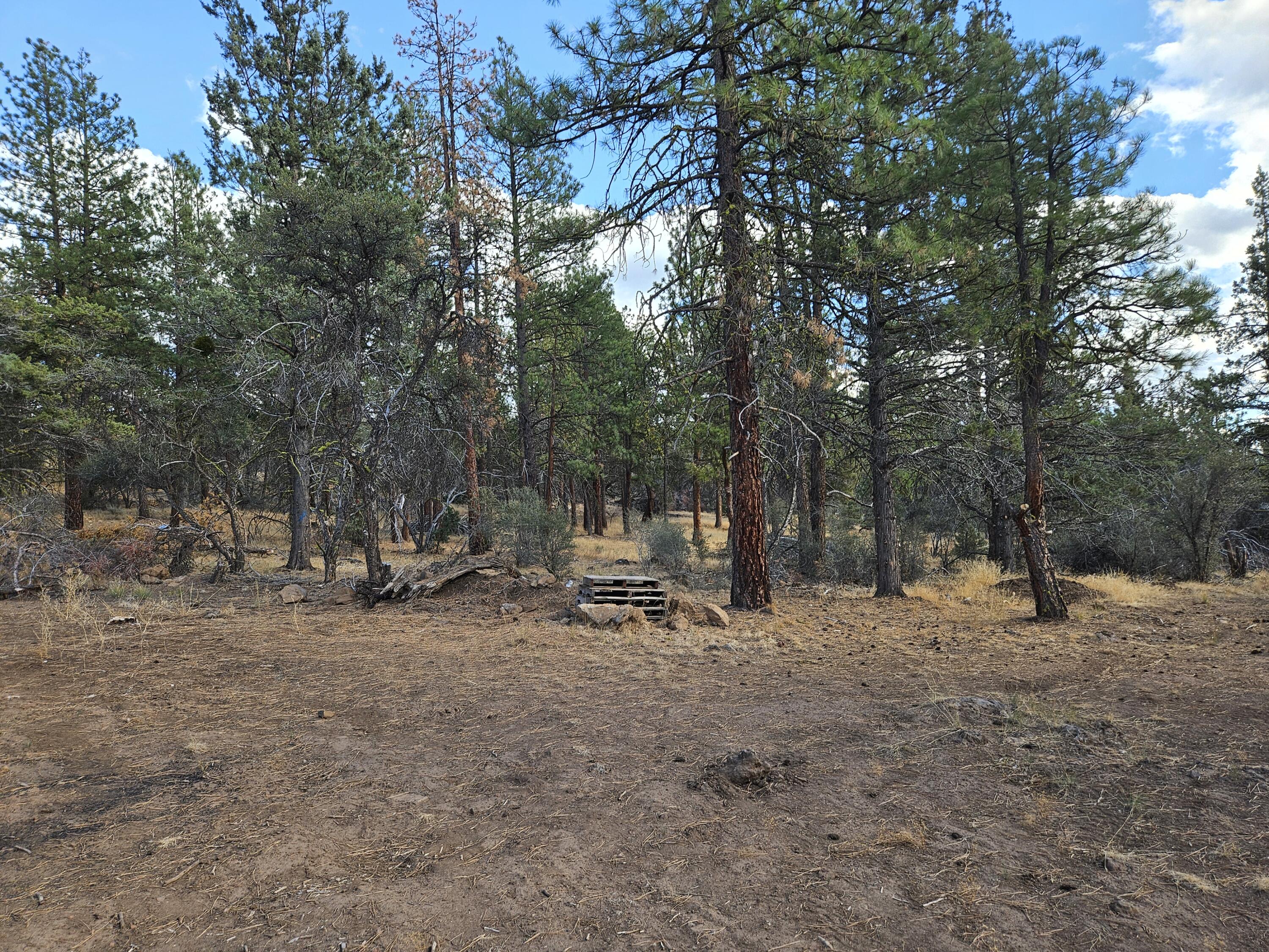 Klamath Falls Forest Estates -Hwy 66 Unit -Plat No. 1 - Land