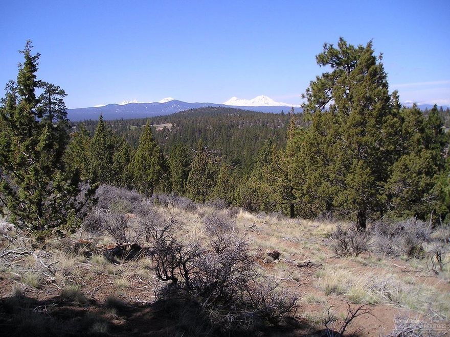 Exceptional Cascade Mountain views from this 1.17 acre lot in North Rim. A benefit to this lot is the 50' wide common area on the west property line for additional buffering from the neighboring lot. There is a trail through the common area for access to the Deschutes River Trail. The North Rim community has gated entrances, native landscaping, paver paths throughout the subdivision, tennis courts, and use of the beautiful lodge. Just minutes from downtown Bend, shopping, and restaurants.