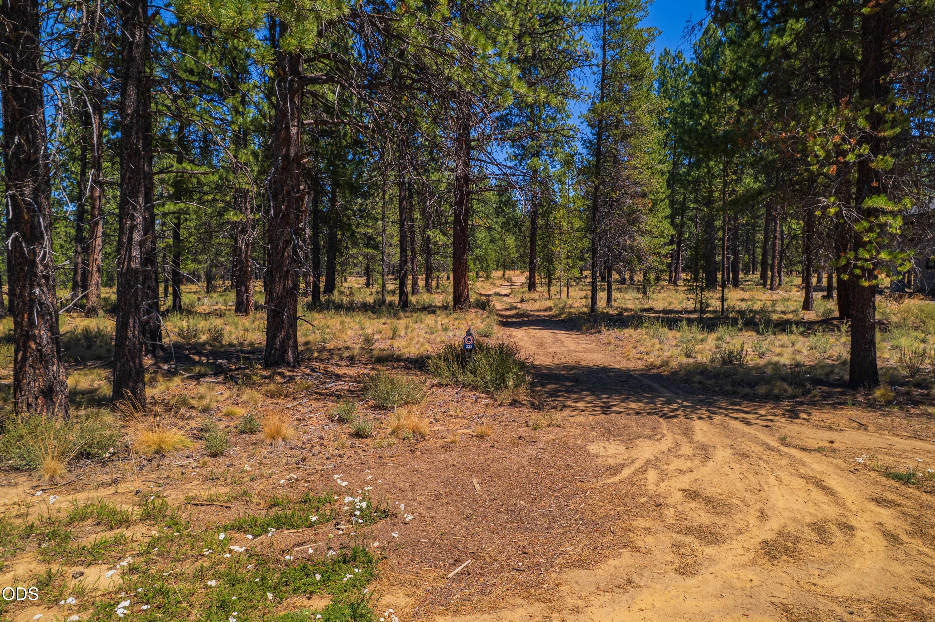56343 Mirror Rock Loop 333