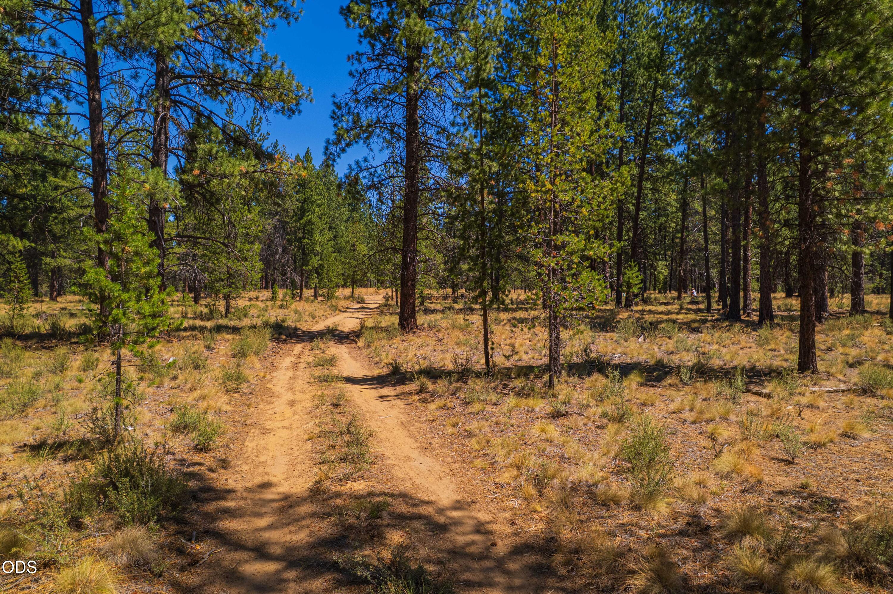 56343 Mirror Rock Loop 333