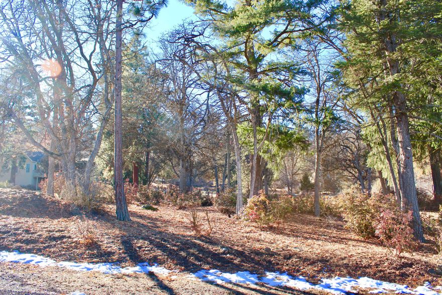 Nicely wooded Lakeside Estate lot.  All utilities to the property.  $25,000