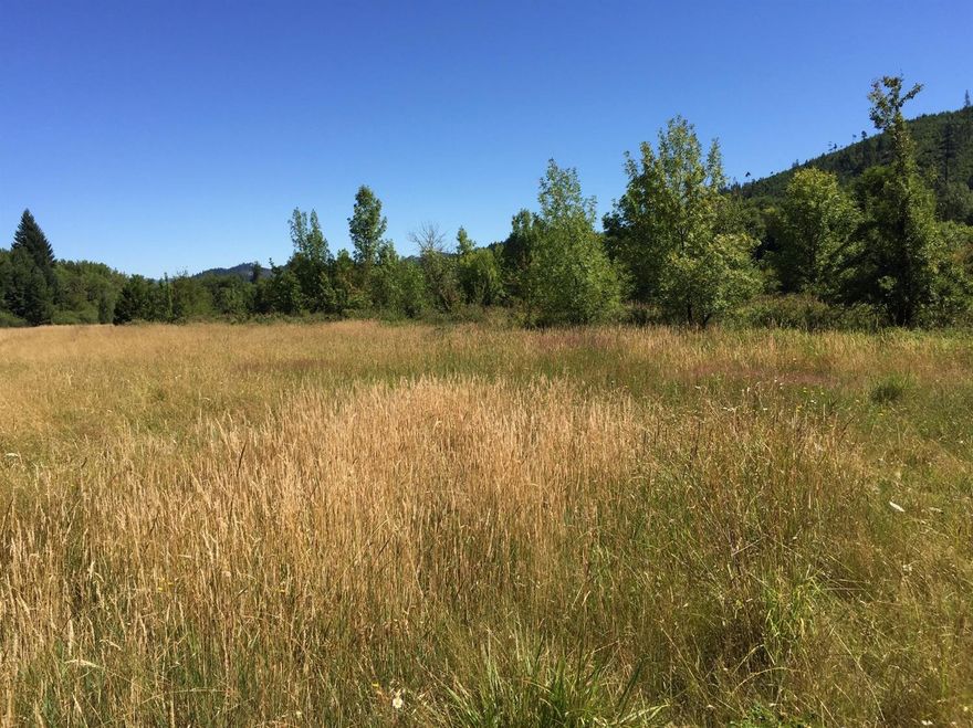 Amazing open area with lots of sunshine. Lightly treed and perfect for any kind of garden. Open landscape is readily available for you to build on. Privacy off main road, quite and beautiful surroundings. This part of the Selma Valley is rich and green. The single wide 1998 Fleetwood was used as a vacation home and is in excellent shape.