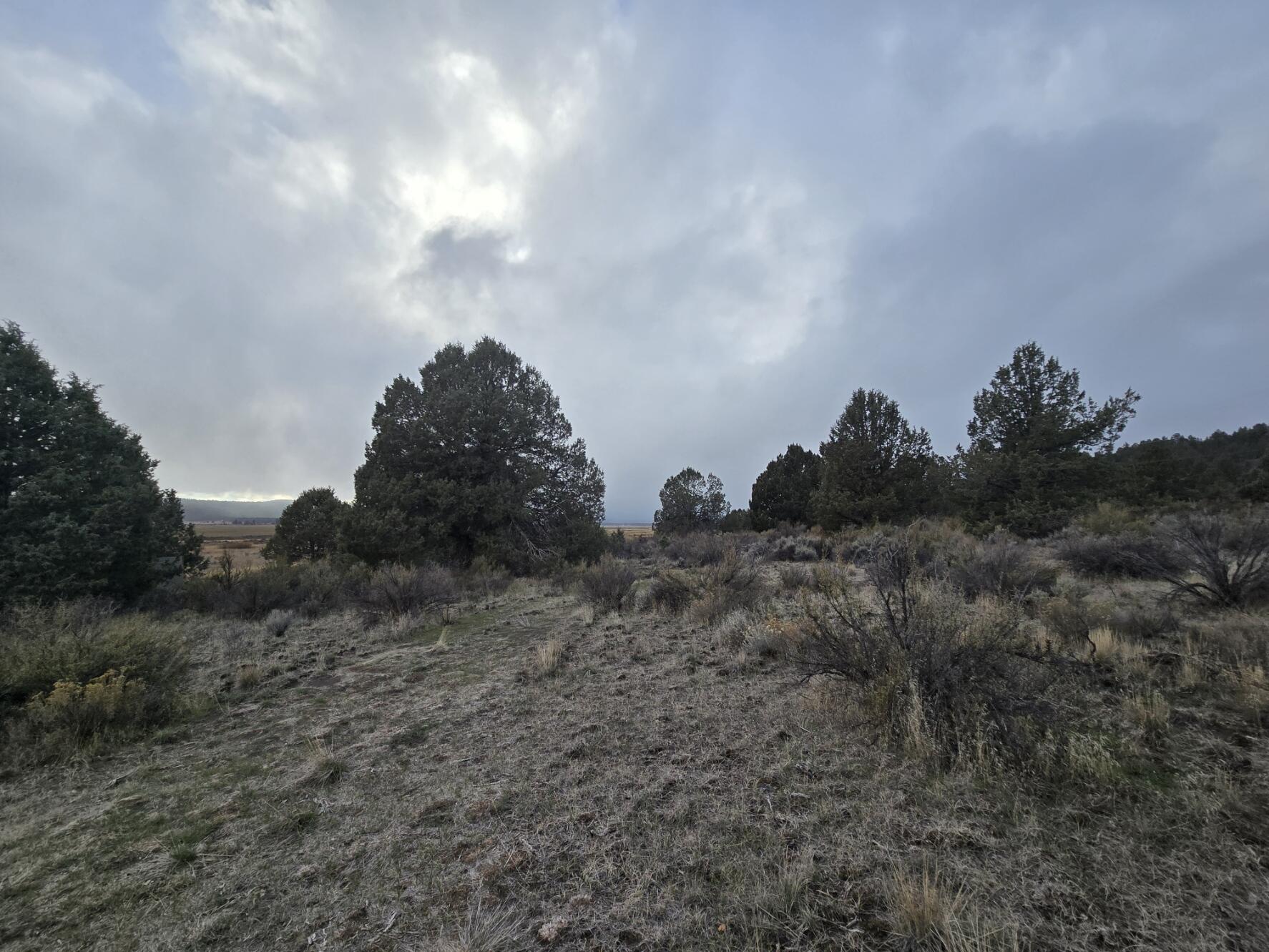 Nimrod River Park - Land