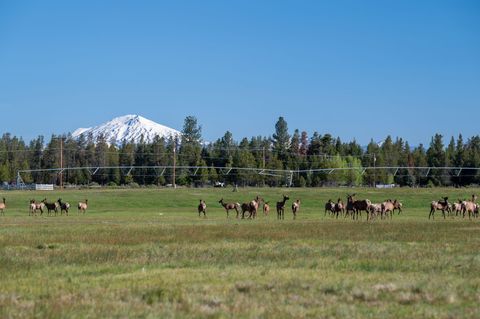 Tiny photo for 52255 Huntington Road, La Pine, OR 97739 (MLS # 220215855)
