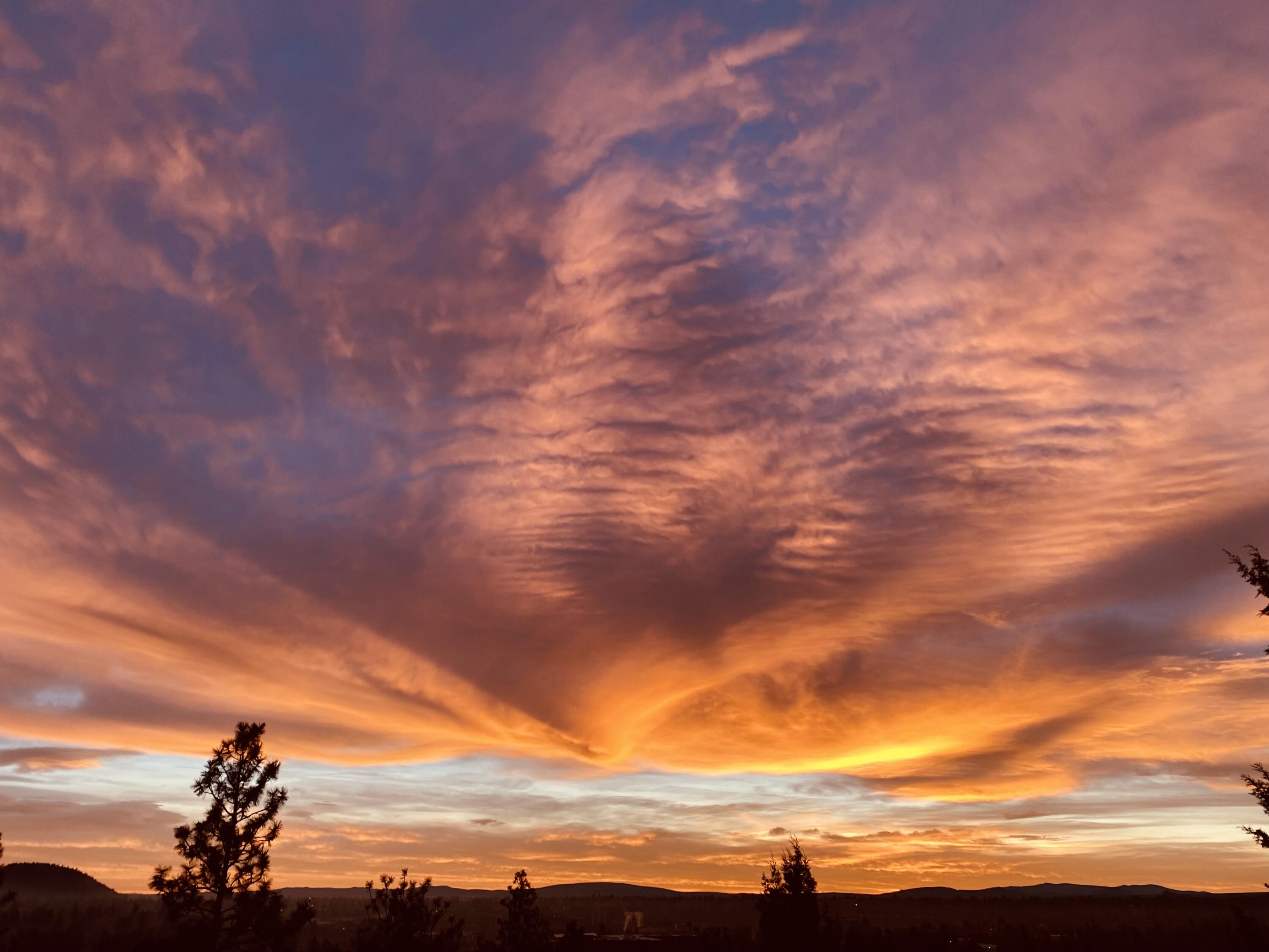 Monta Vista - Residential