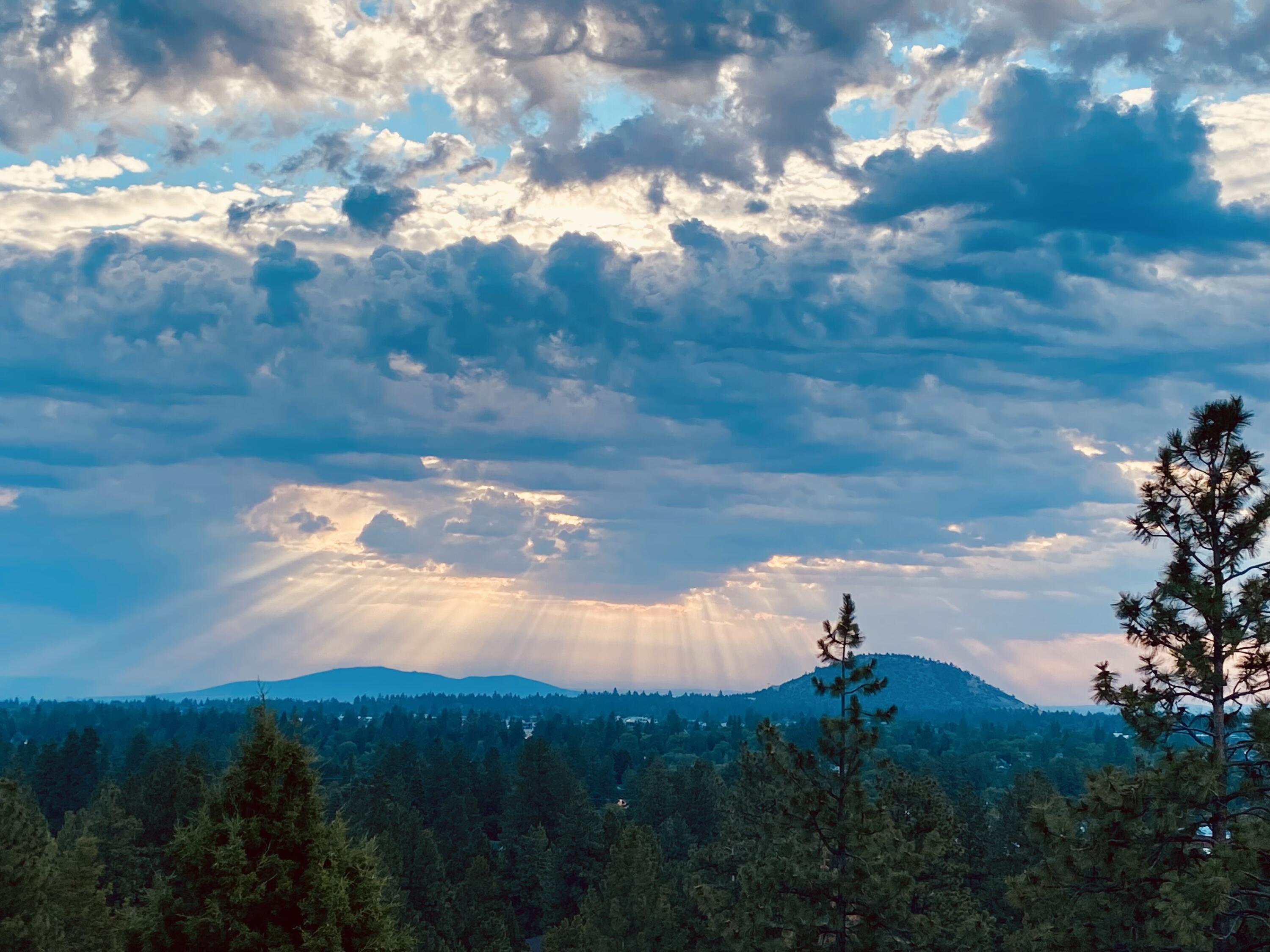 Monta Vista - Residential