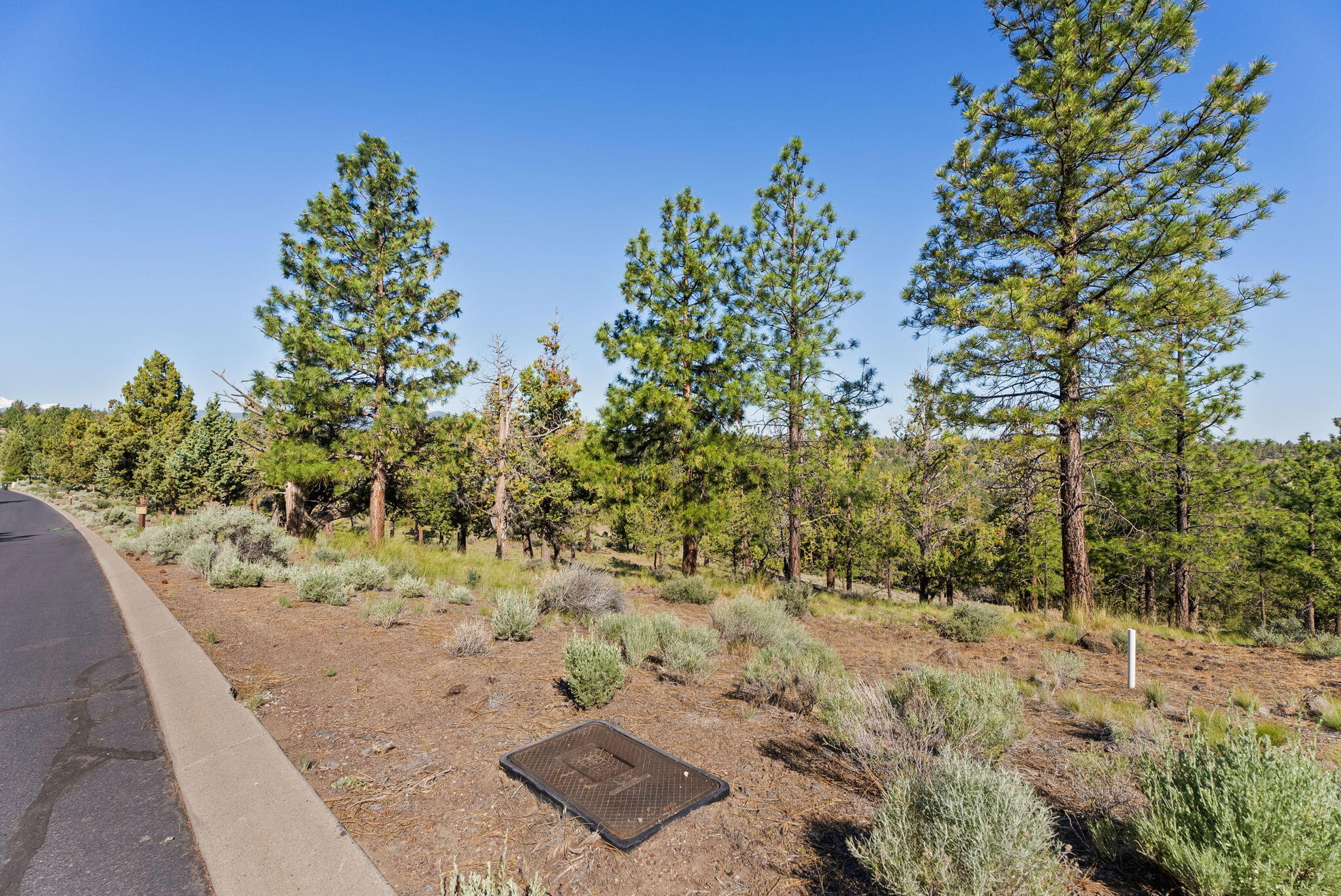 1692 NW Wild Rye Circle 109