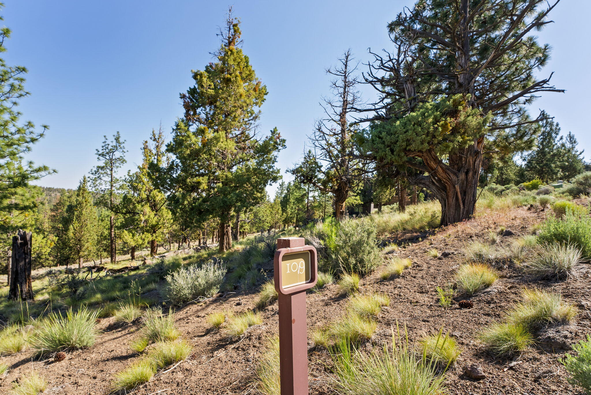 1692 NW Wild Rye Circle 109