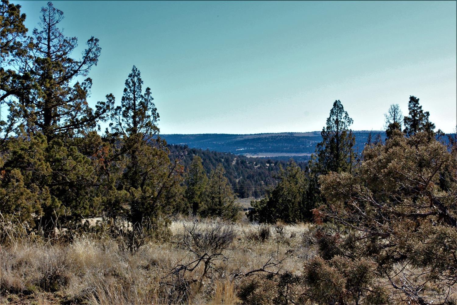 Longhorn Ridge - Land