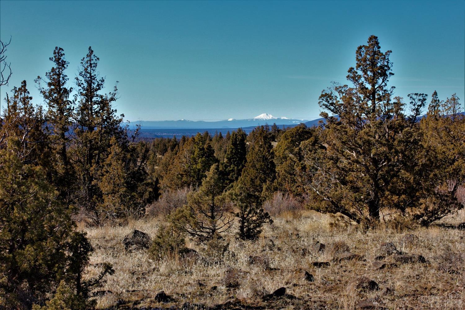 Longhorn Ridge - Land